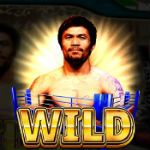 Pacquiao One Punch KO - символ Wild