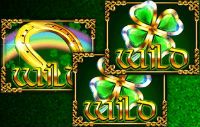 Cлот Irish Treasures - Символы Wild.