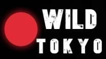 Wild Tokyo Casino custom logo.